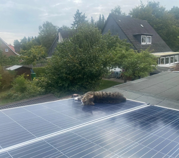 The effects of shading on solar panels